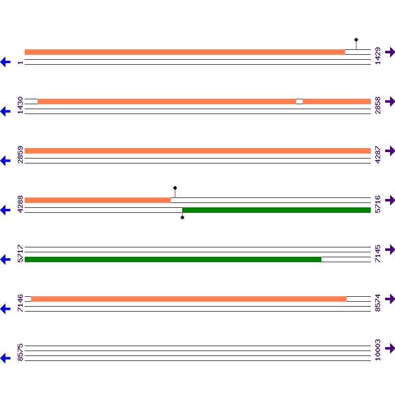 Genome View