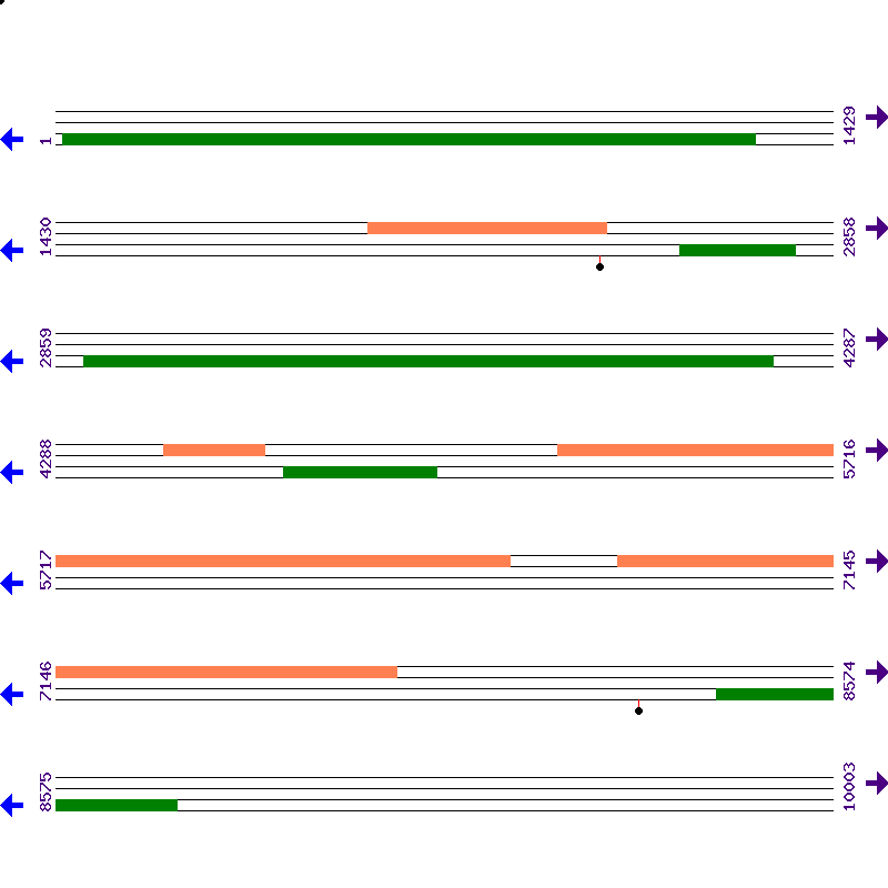 Genome View