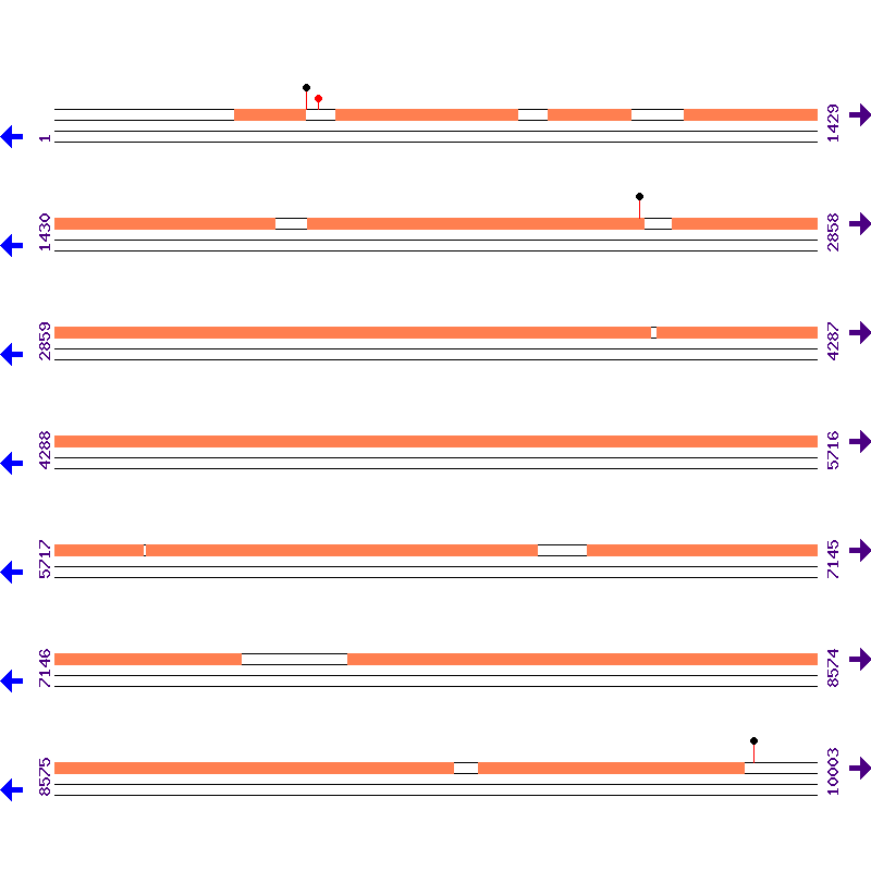 Genome View