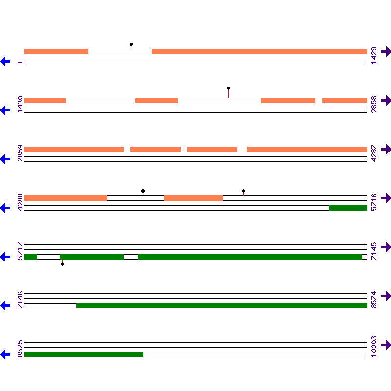 Genome View