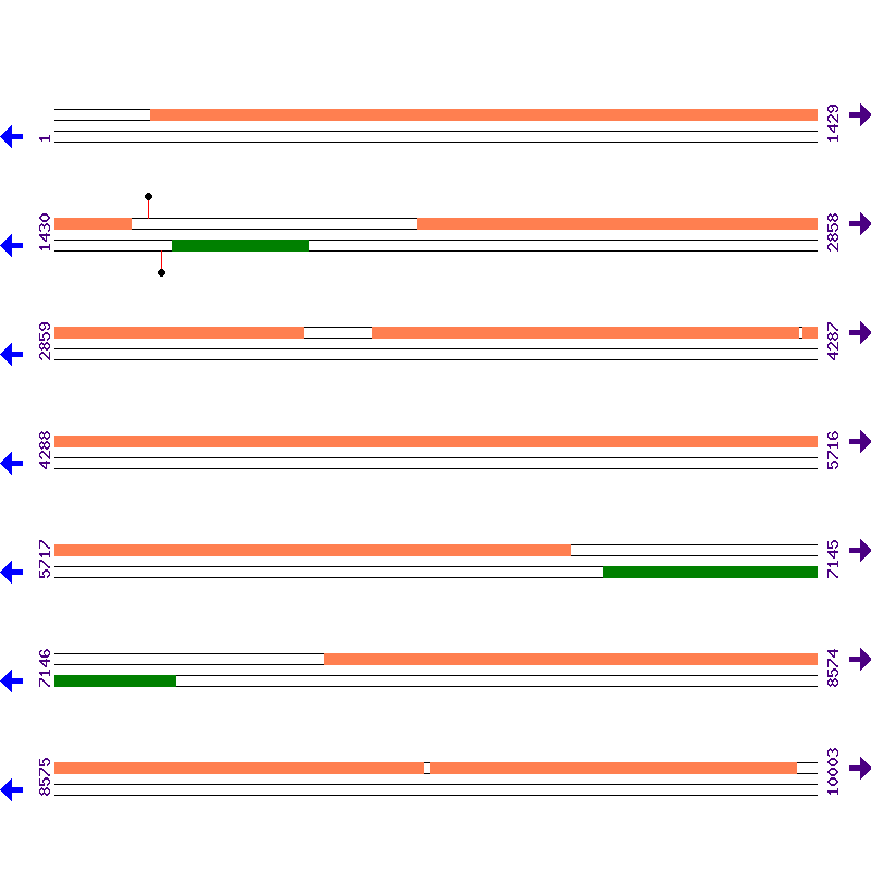Genome View