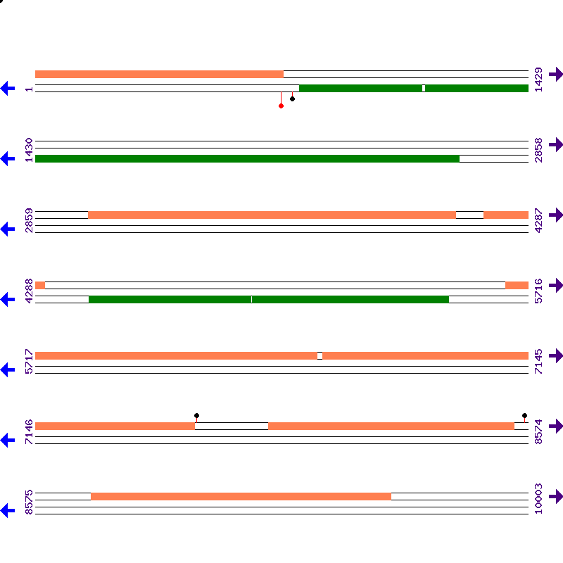 Genome View
