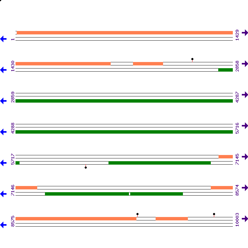 Genome View