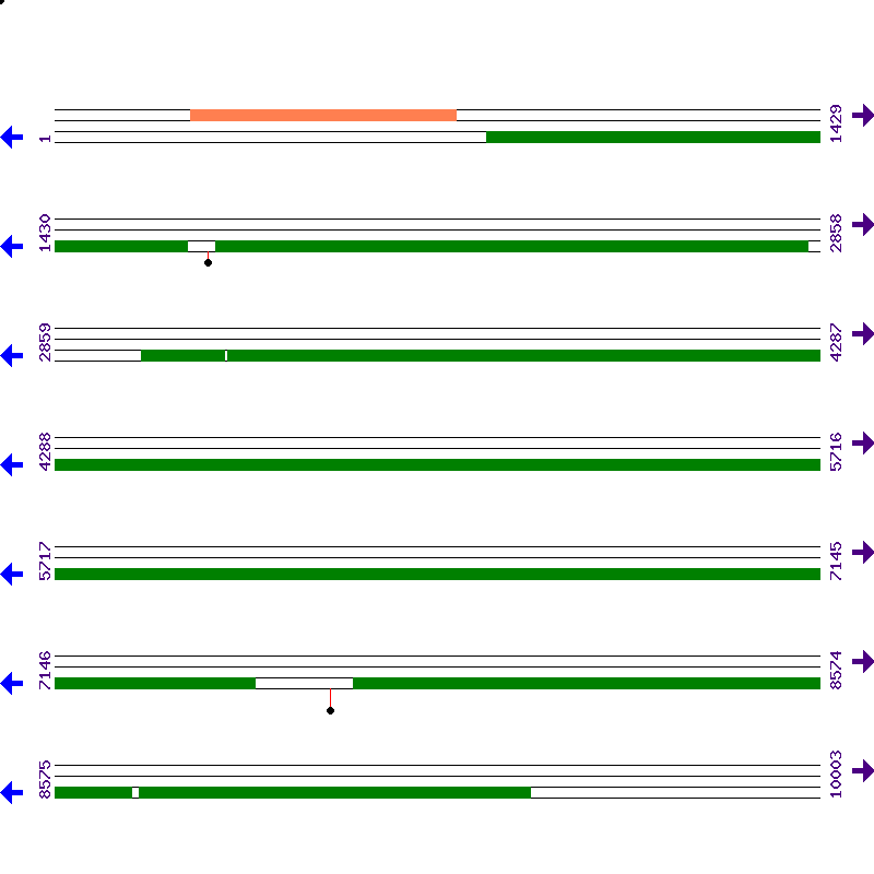 Genome View
