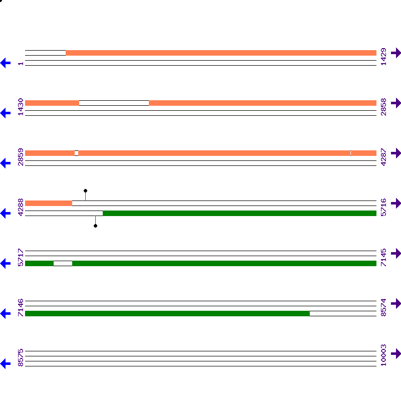 Genome View
