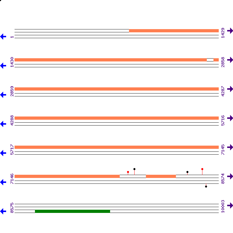 Genome View