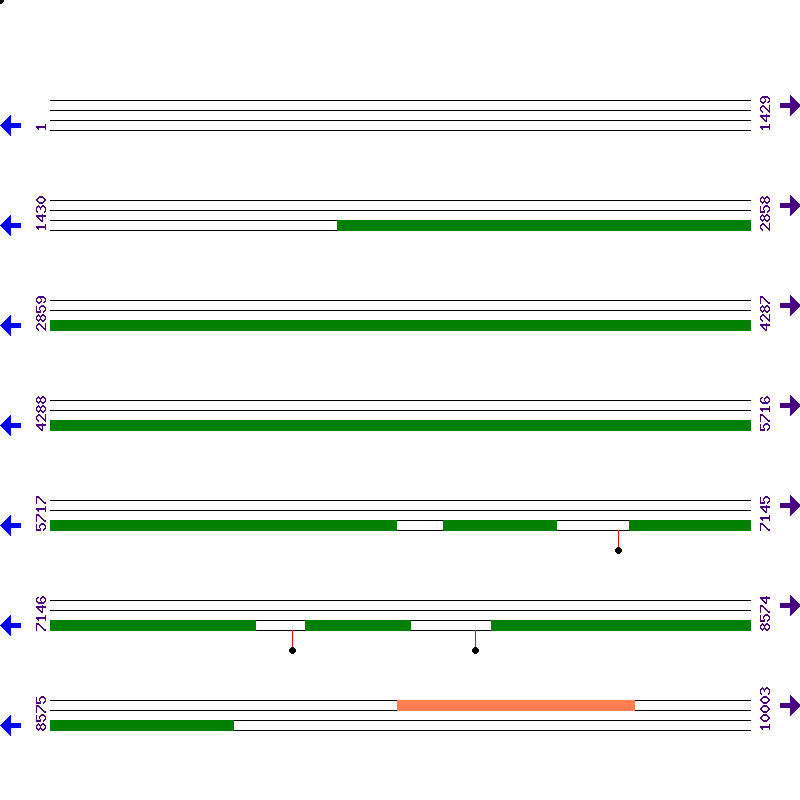 Genome View