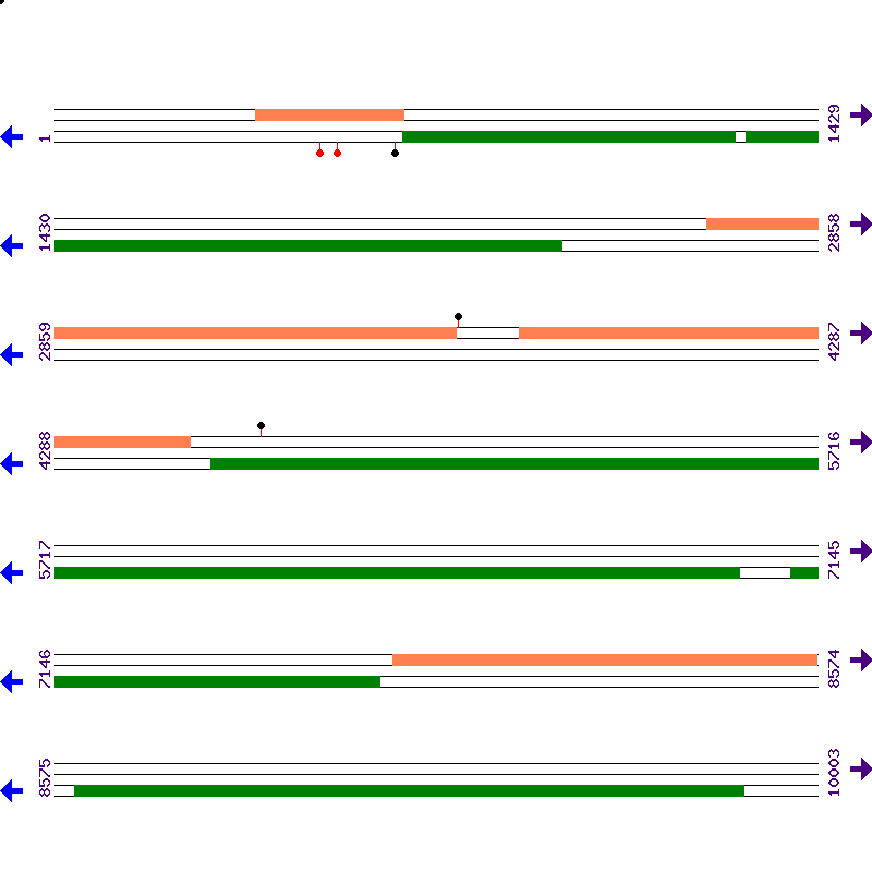 Genome View