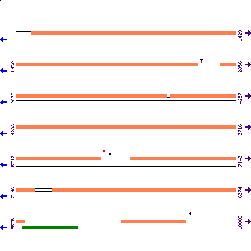 Genome View