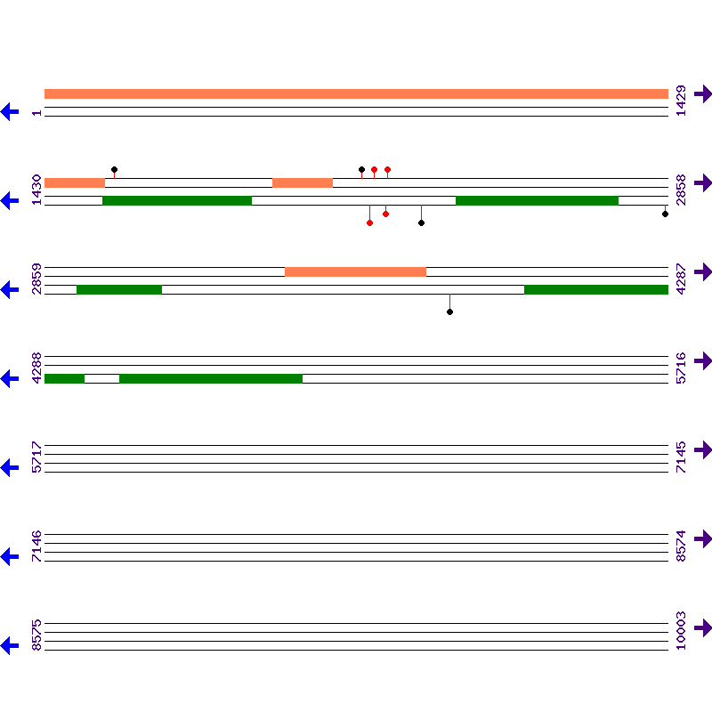 Genome View