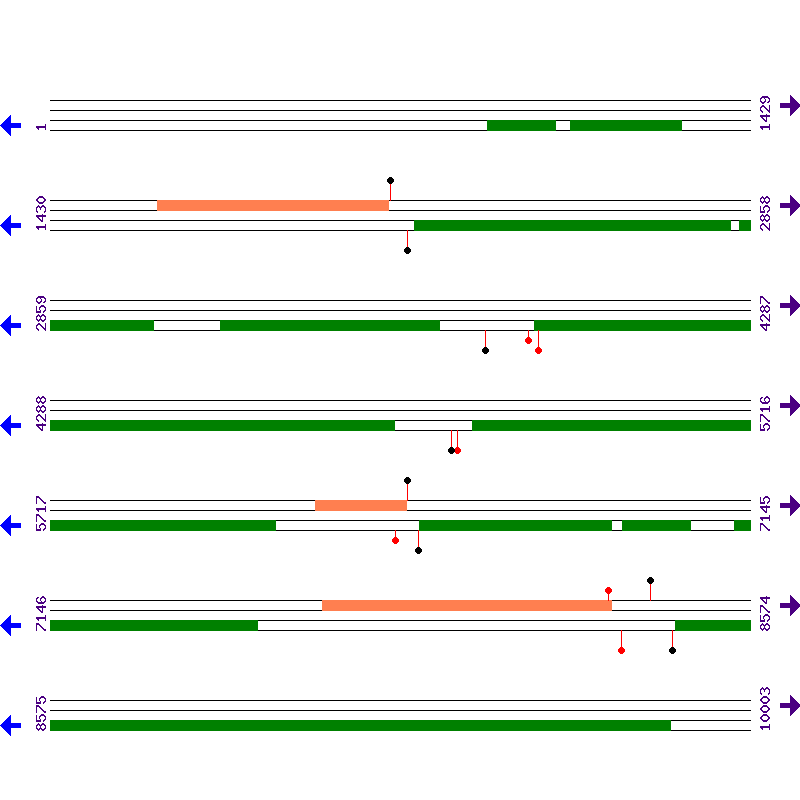 Genome View