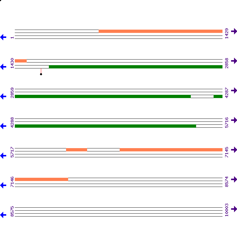 Genome View