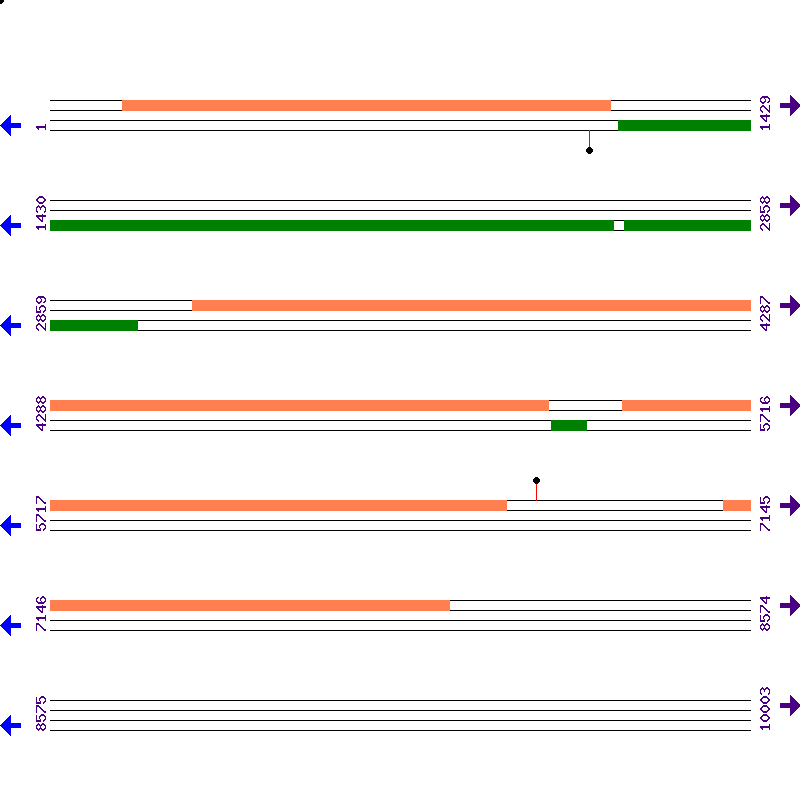 Genome View