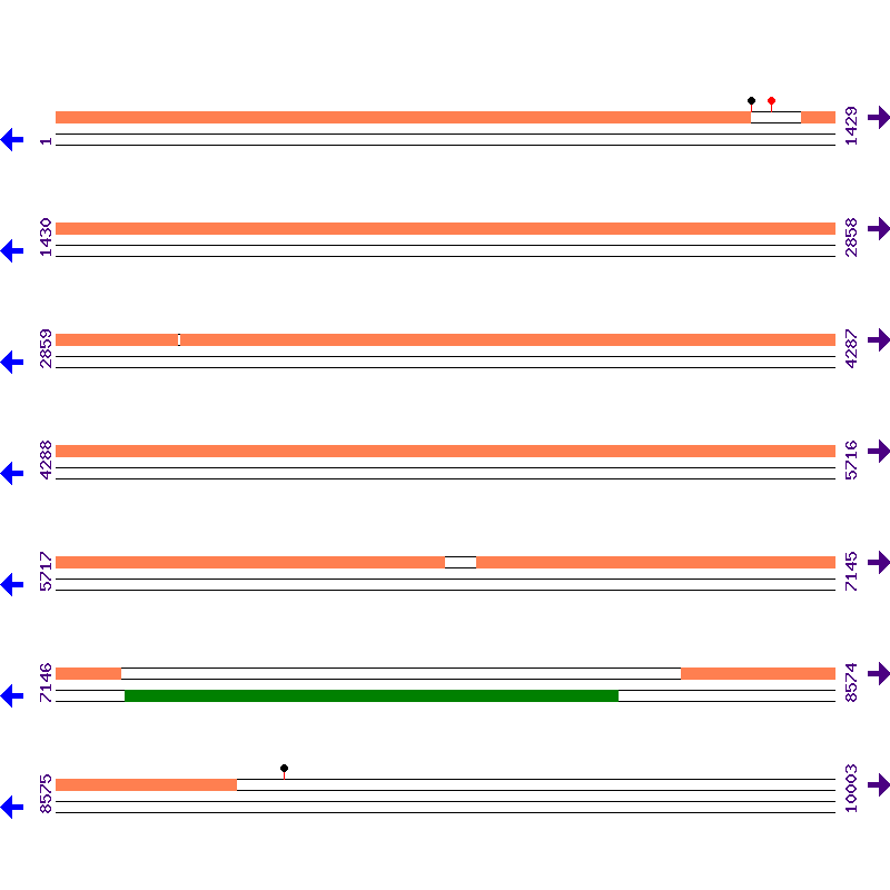 Genome View