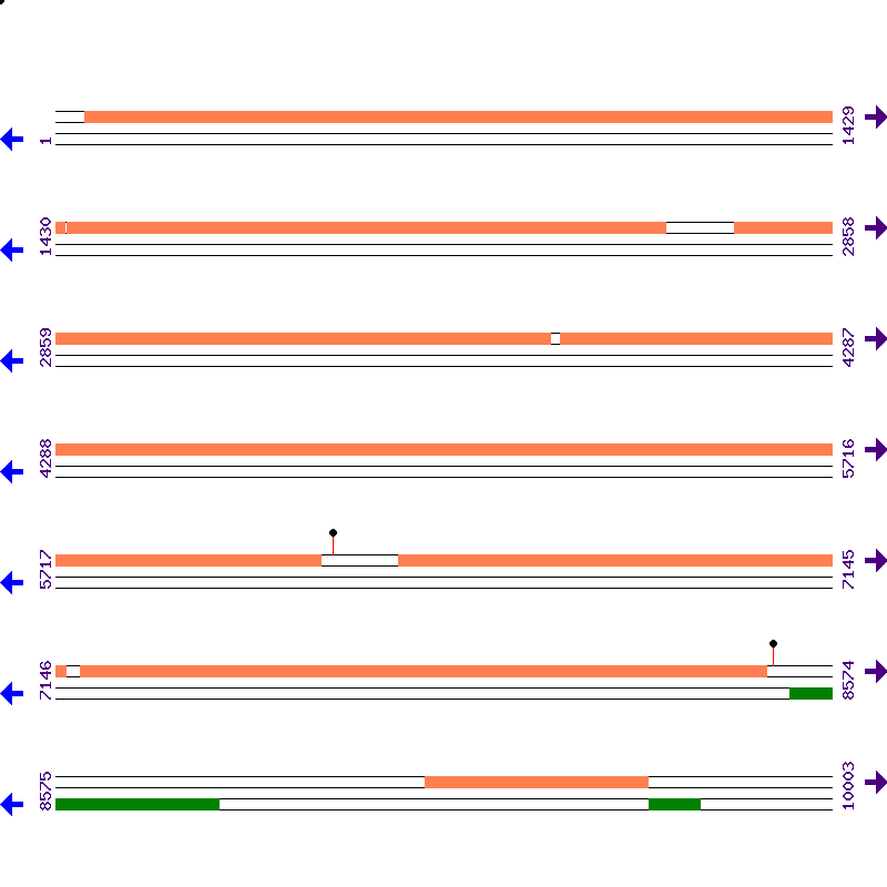 Genome View