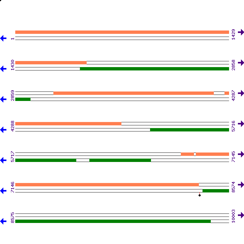 Genome View