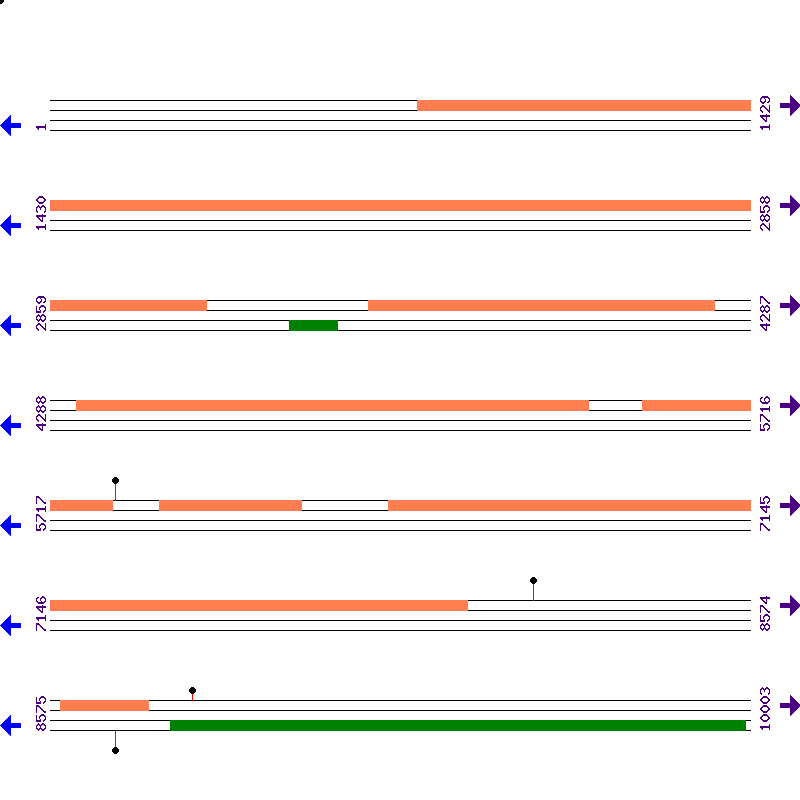 Genome View