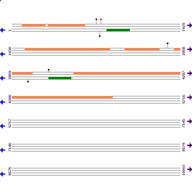 Genome View