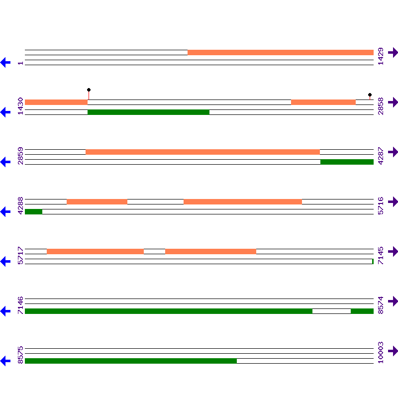 Genome View