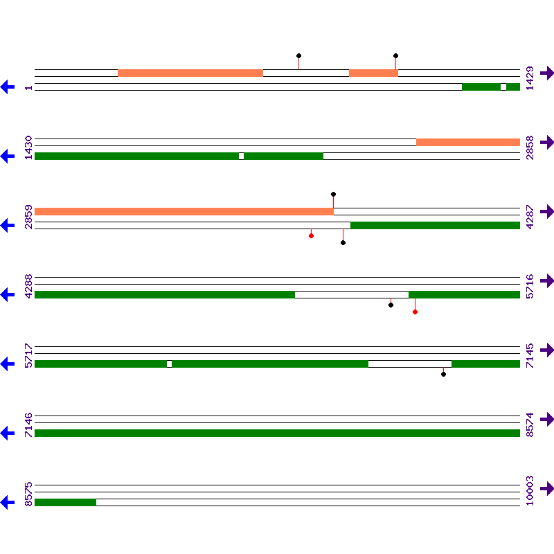 Genome View