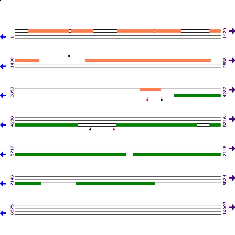 Genome View