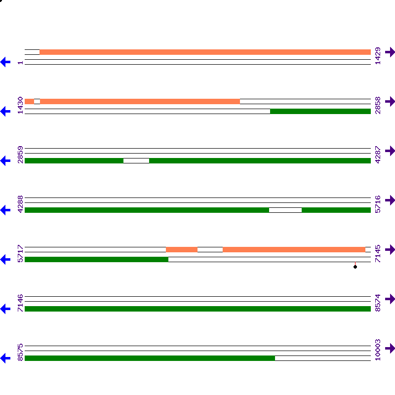Genome View