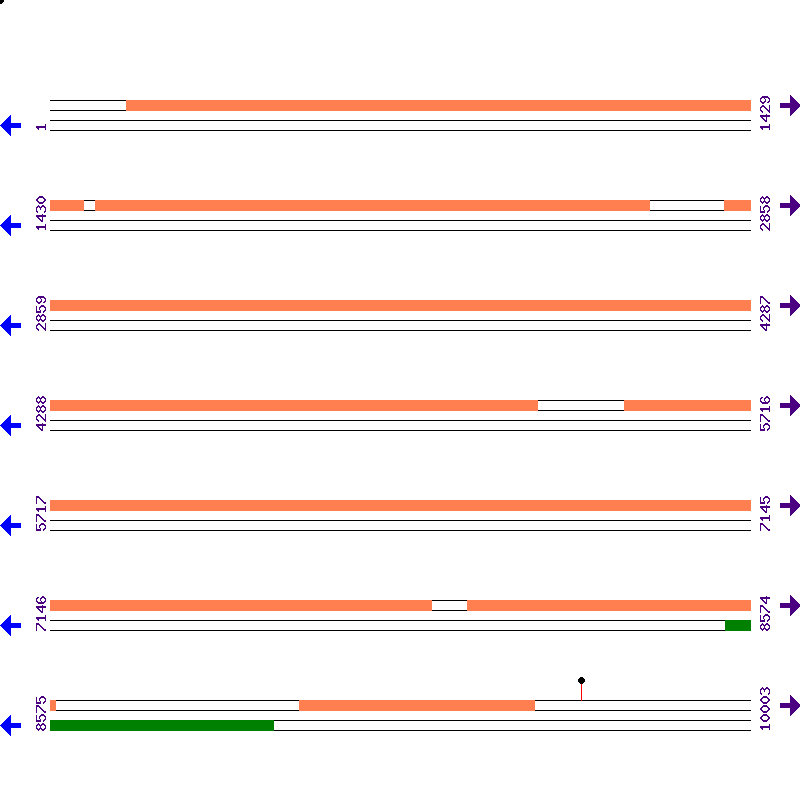 Genome View