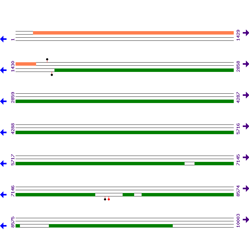 Genome View