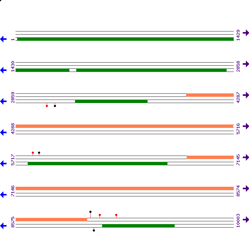Genome View