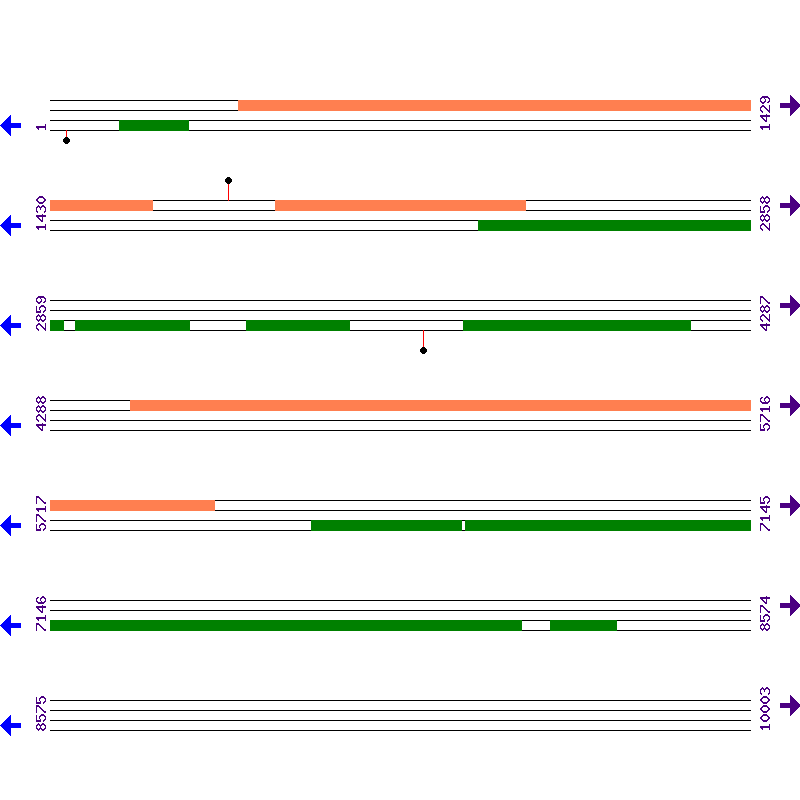 Genome View