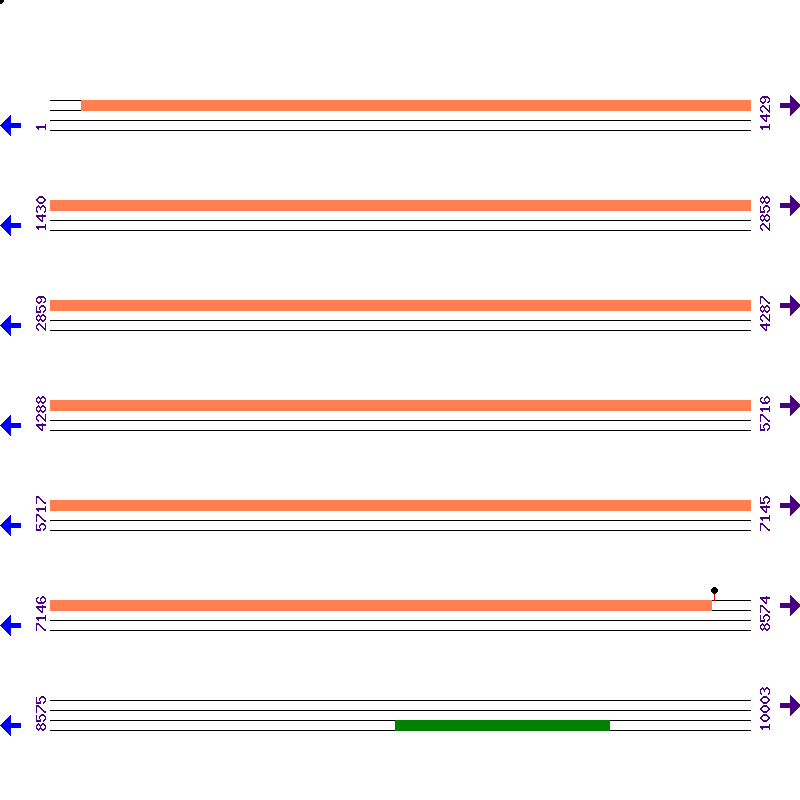 Genome View