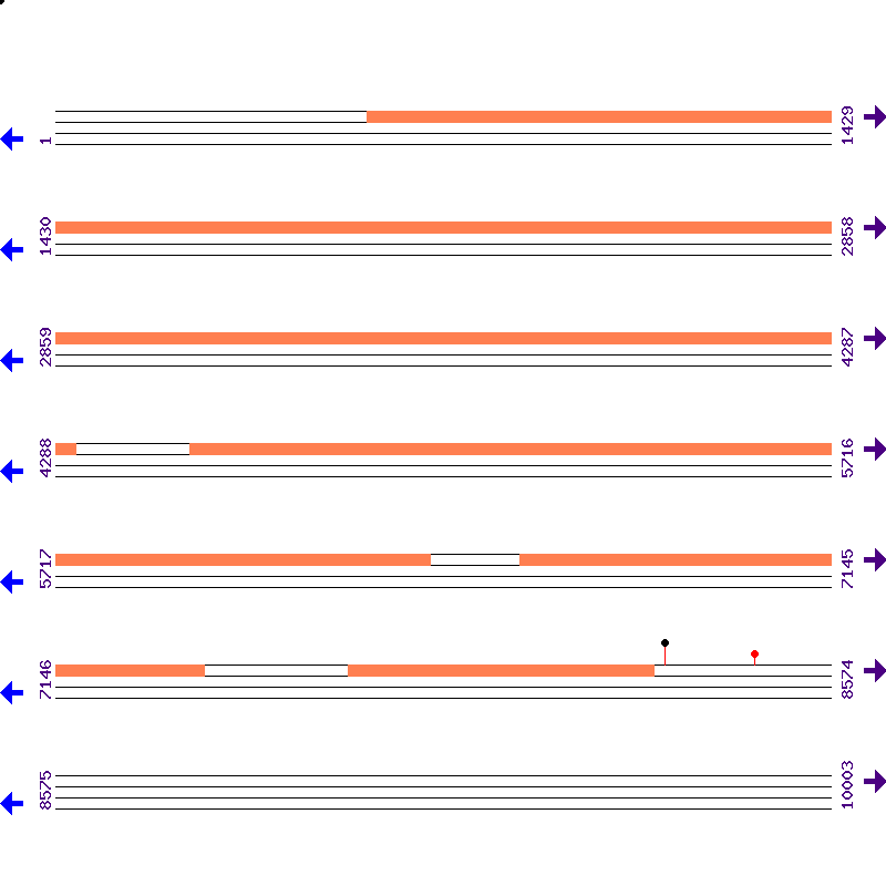 Genome View