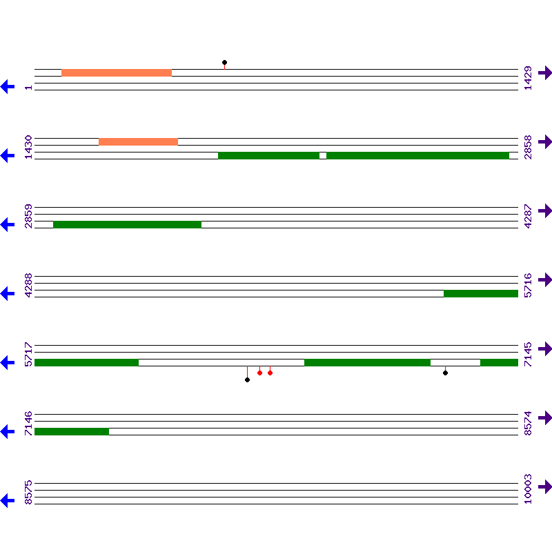 Genome View