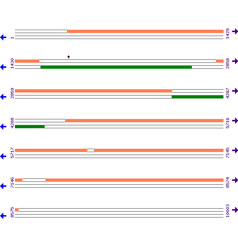 Genome View