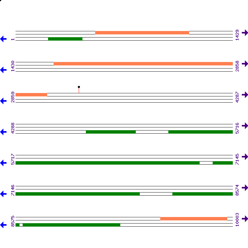 Genome View