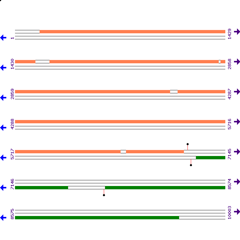 Genome View