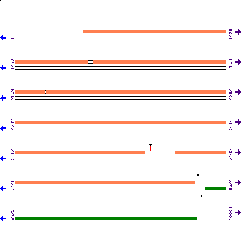 Genome View