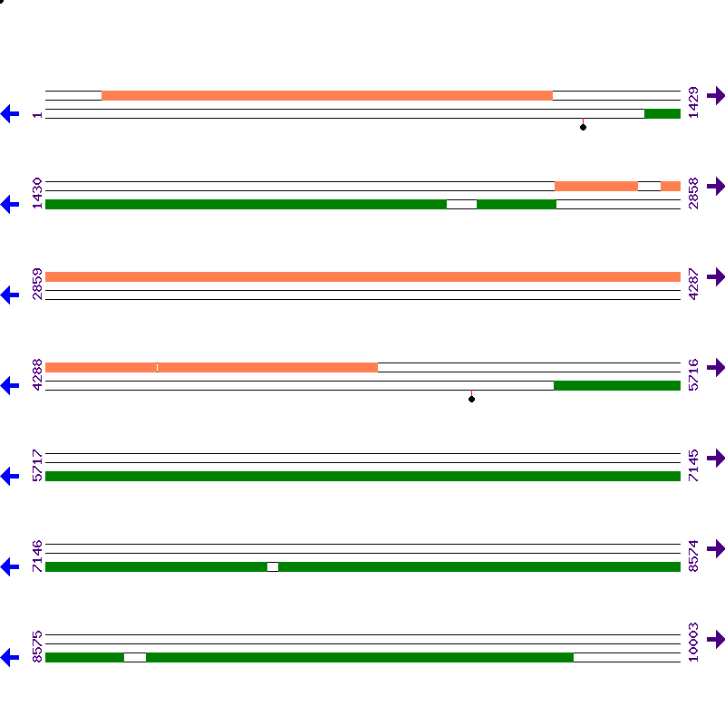 Genome View
