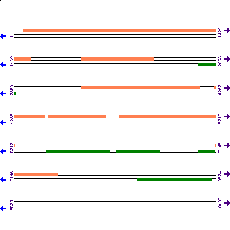 Genome View