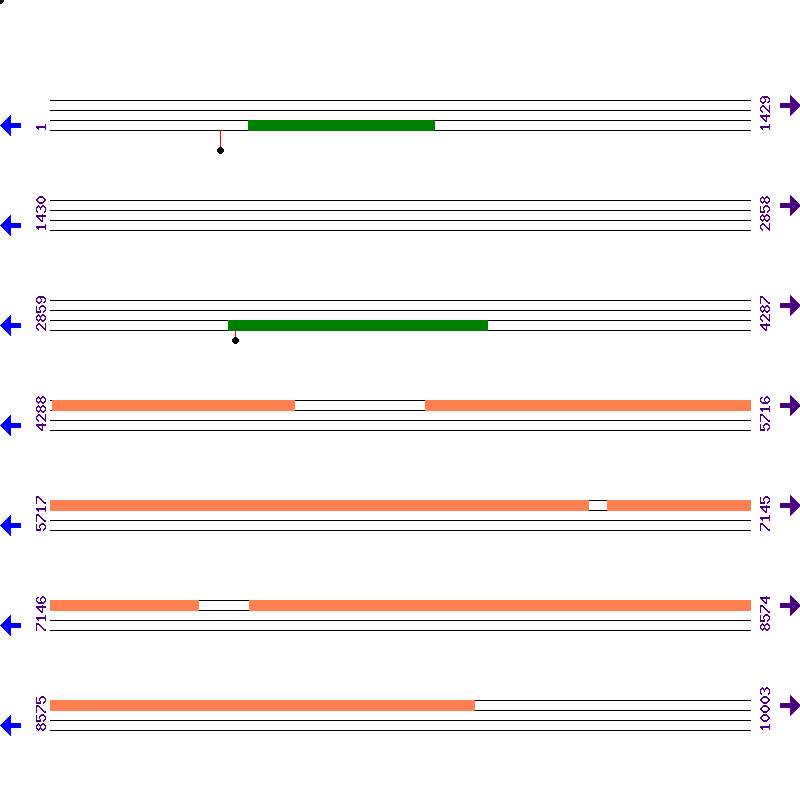 Genome View