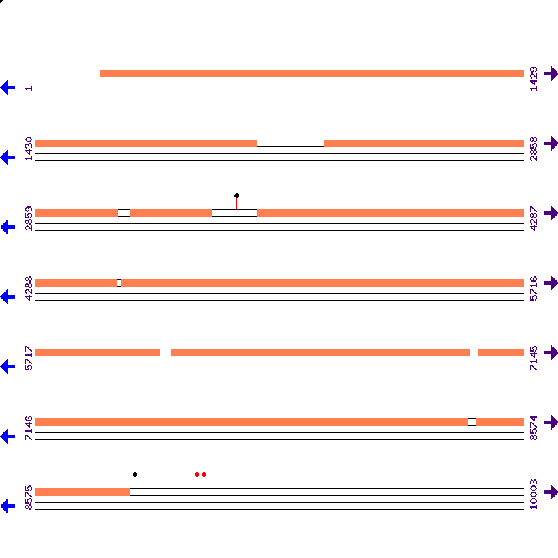 Genome View
