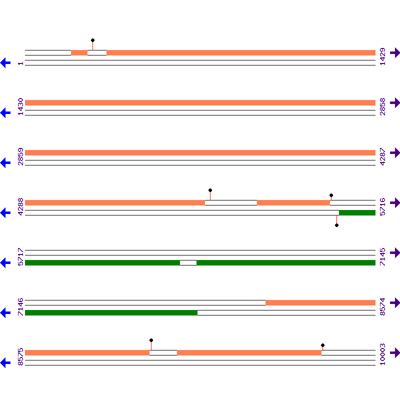 Genome View