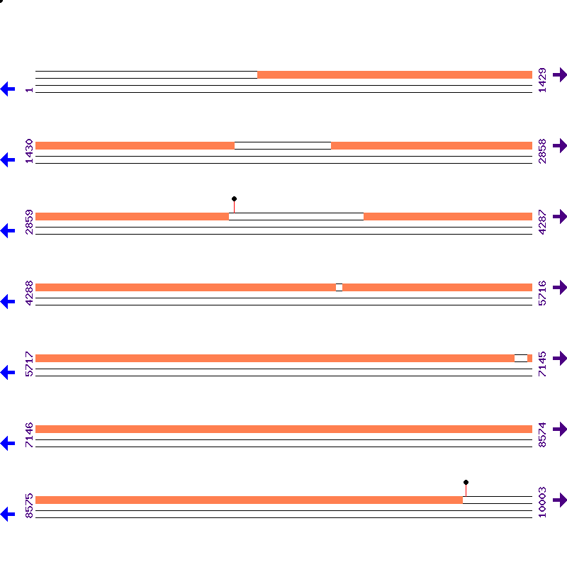 Genome View