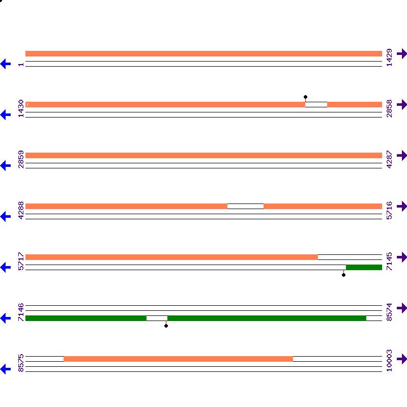 Genome View
