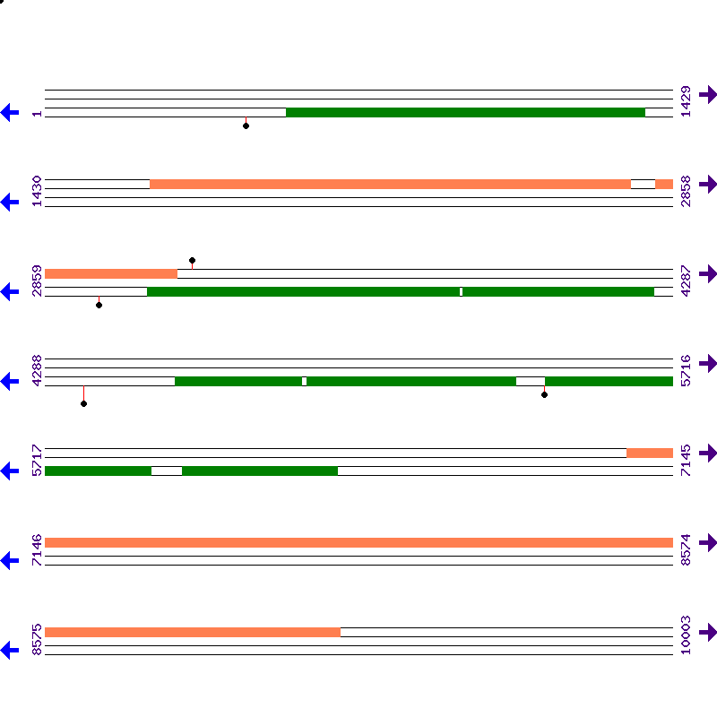 Genome View