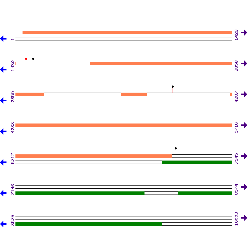 Genome View