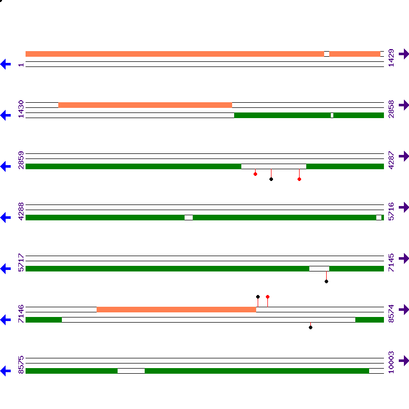 Genome View