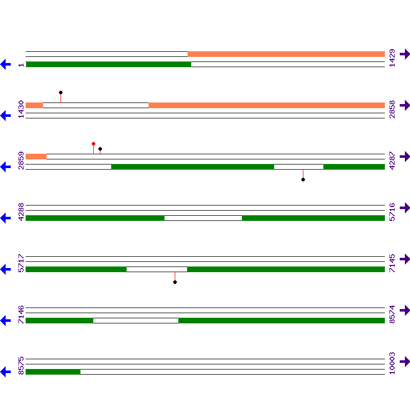 Genome View