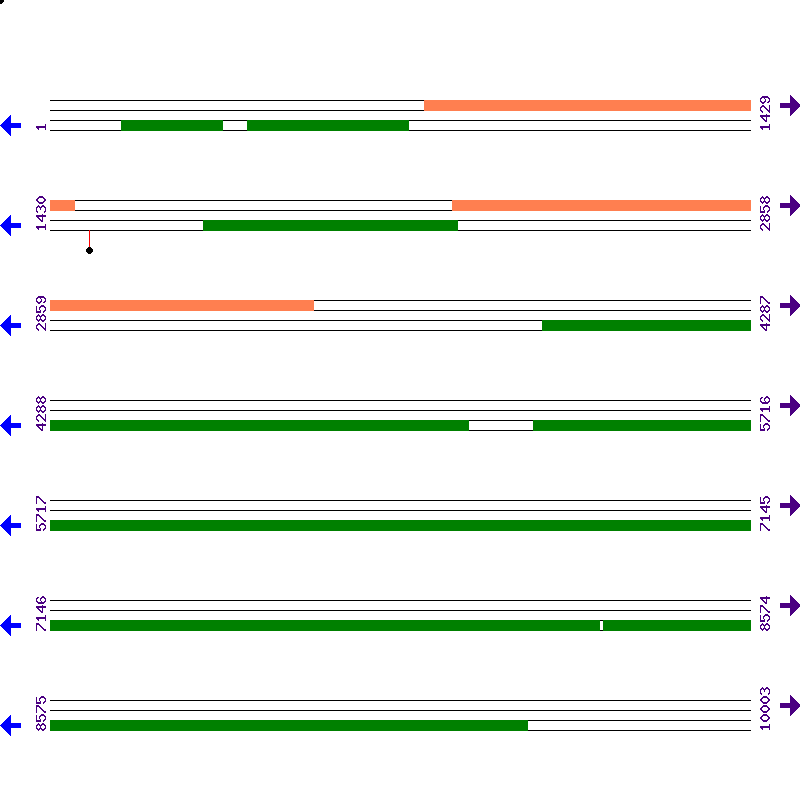 Genome View