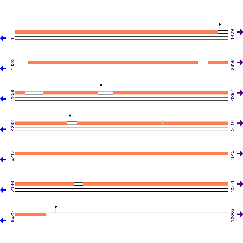 Genome View